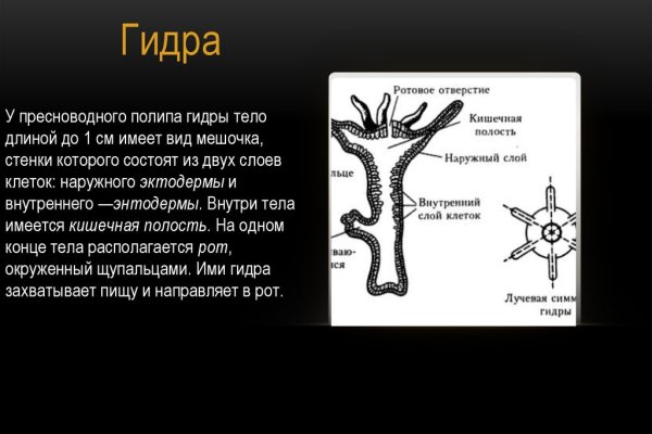 Кракен адрес тор