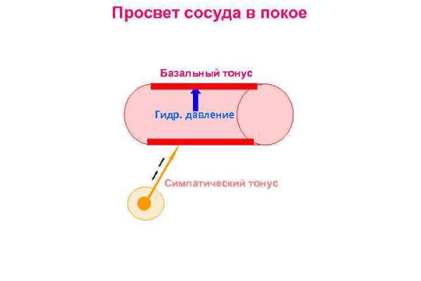 Ссылка кракен официальная тор